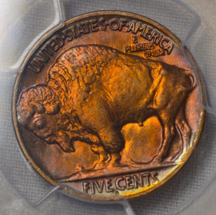 AMAZINGLY TONED & Natural Album COLOR for 1936-D BUFFALO NICKEL PCGS MS 64!!!!