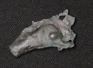 Ancient Dolphin Money Bronze Olbia Thrace Bottle Nose Dolphin
