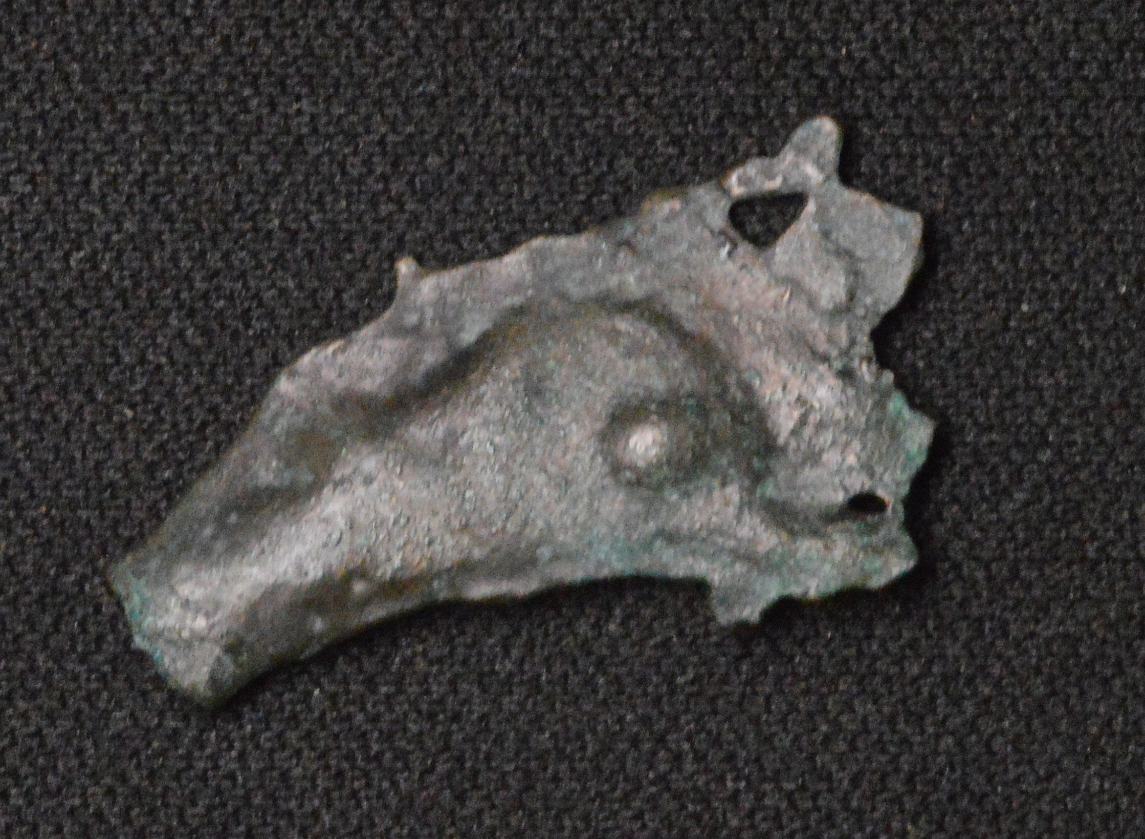 Ancient Dolphin Money Bronze Olbia Thrace Bottle Nose Dolphin